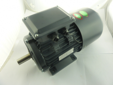 Lumag Maschinen Ersatzteil E-Motor f. BSW76E