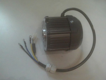 Lumag Maschinen Ersatzteil Motor f. MD450E